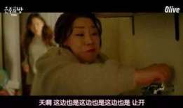 恩珠在线观看,揭秘剧情高潮与情感纠葛